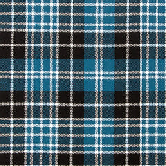 16oz Heavyweight Tartan Fabric   Clark ancient