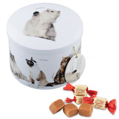 Cat Tin - Vanilla Fudge (Case of 12)