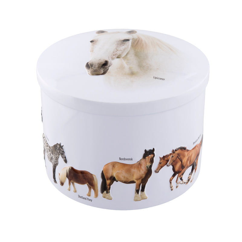 Horses Tin - Vanilla Fudge (Case of 12)