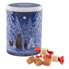 Christmas Star Gazers - Vanilla Fudge (Case of 12)