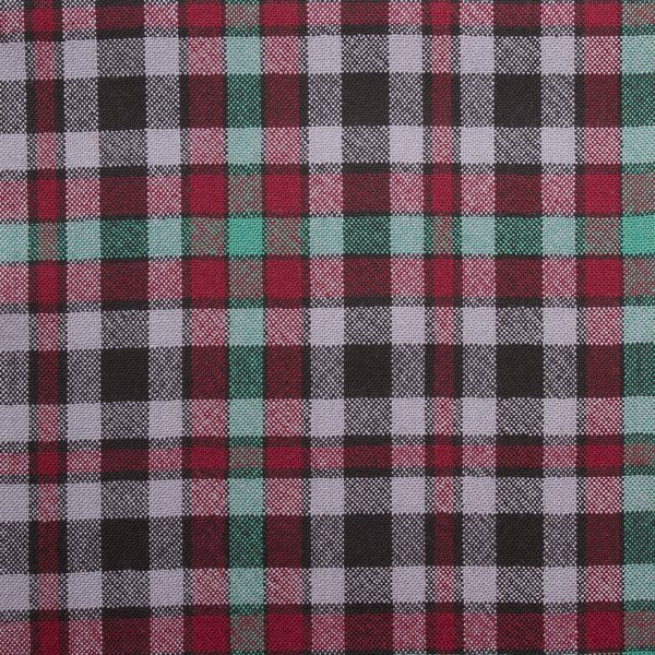 Tartan Banner - Borthwick Dress ancient