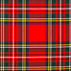 13oz Mediumweight Tartan Fabric   Stewart Royal modern