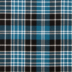 10oz Lightweight Tartan Fabric   Clark ancient