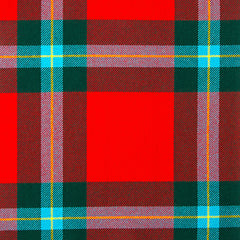 10oz Lightweight Tartan Fabric   MacLaine of Lochbuie modern