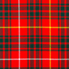 13oz Mediumweight Tartan Fabric   Bruce modern