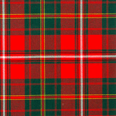 10oz Lightweight Tartan Fabric   Hay modern