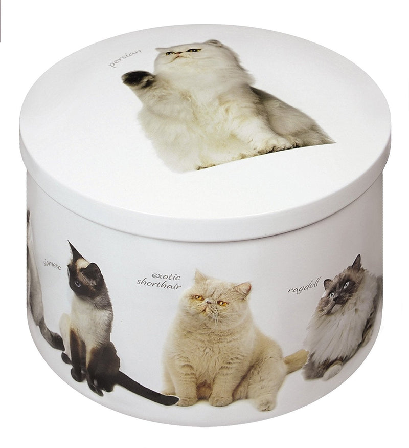 Cat Tin - Vanilla Fudge (Case of 12)