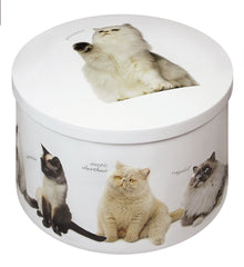 Cat Tin - Vanilla Fudge (Case of 12)