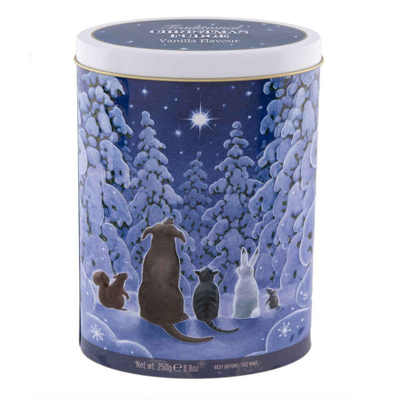 Christmas Star Gazers - Vanilla Fudge (Case of 12)