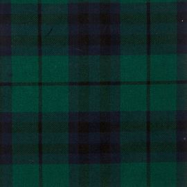 10oz Lightweight Tartan Fabric   Marshall/Austin/Keith modern